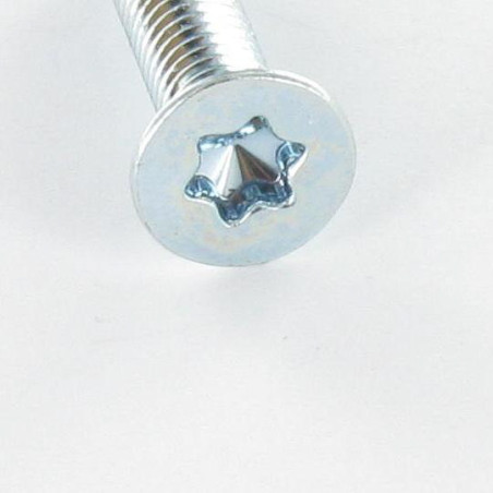 1 x Machine Screw Countersunk Head T25 M5X10 Zinc Plated