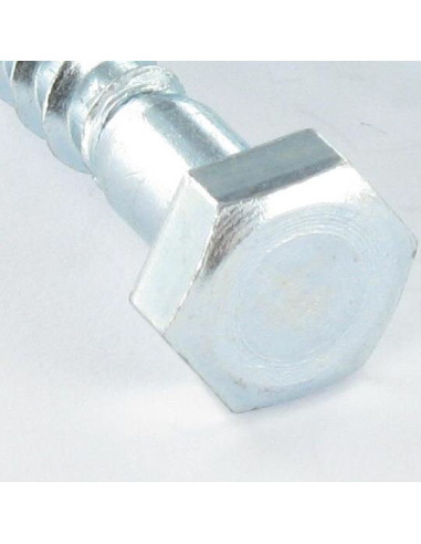 1 x Coach Screw 10X200 Hot Dip Galvanized