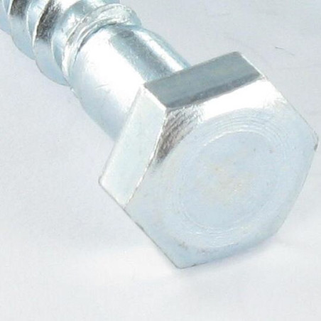1 x Coach Screws/Hexagonal Head Wood 10X200 Hot Dip Galvanized