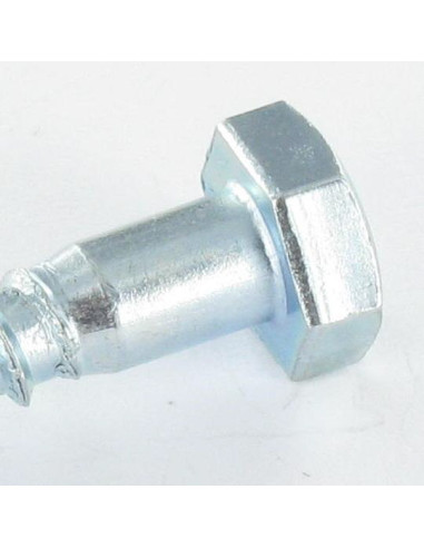1 x Coach Screw 10X200 Hot Dip Galvanized