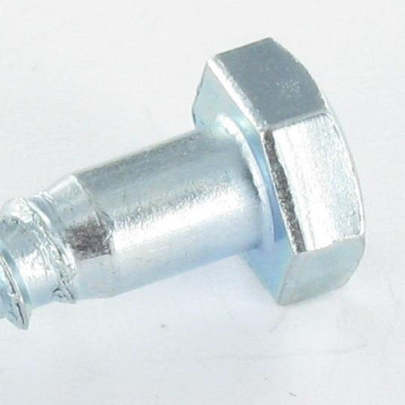 1 x Coach Screws/Hexagonal Head Wood 10X200 Hot Dip Galvanized