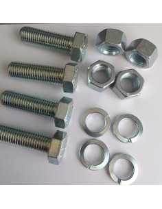Small Bag 4 Machine Screw Hexagonal Head M16X50 4 Nut 4...
