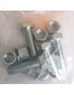 Small Bag 4 Machine Screw Hexagonal Head M16X50 4 Nut 4... 2