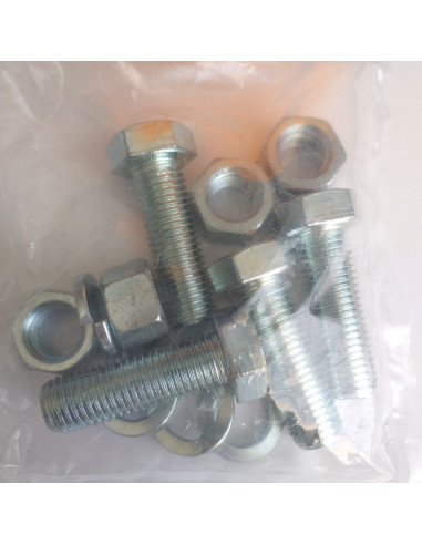 1 x Small Bag 4 Machine Screw Hexagonal Head...