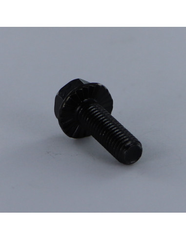1 x Machine Screw Hexagonal Head M6X20 Flange...