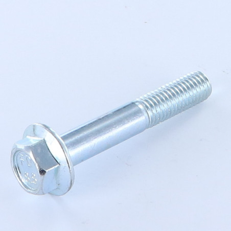 1 x Machine Screw Hexagonal Head M10X60 Partial Thread Flange With Serration Class 8.8 Zinc Plated