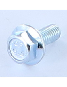 Machine Screw Hexagonal Head M8X20 Flange With Serration...