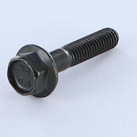 1 x Machine Screw Hexagonal Head M6X30 Thread Length: 18 Flange With Serration Class 8.8 Black Zinc Plated