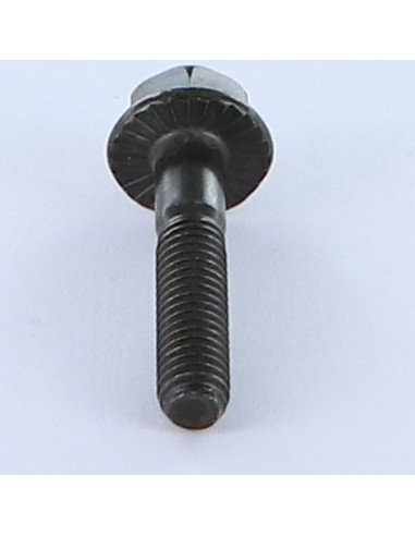 1 x Machine Screw Hexagonal Head M6X30 Thread...