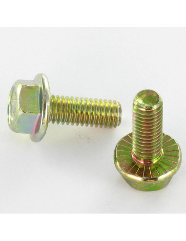 1 x Machine Screw Hexagonal Head M6X8 Flange...