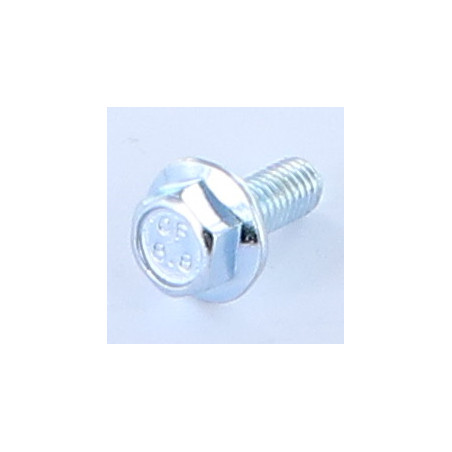 1 x Machine Screw Hexagonal Head M5X10 Flange With Serration Class 8.8 Zinc Plated