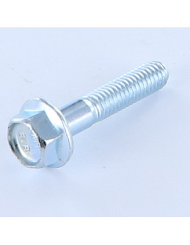 1 x Machine Screw Hexagonal Head M6X30 Thread...