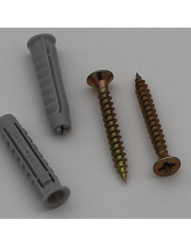1 x Small Bag Of 2 Plug Fischer SX6 With 2 Screw