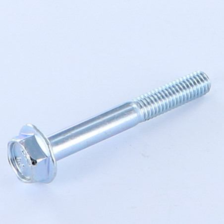 1 x Machine Screw Hexagonal Head M6X45 Partial Thread Flange With Serration Class 8.8 Zinc Plated