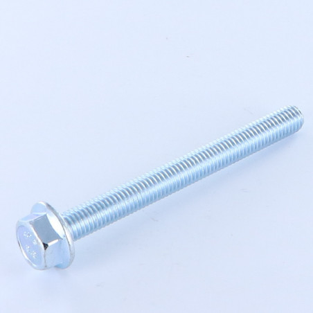 1 x Machine Screw Hexagonal Head M6X50 Flange With Serration Class 8.8 Zinc Plated
