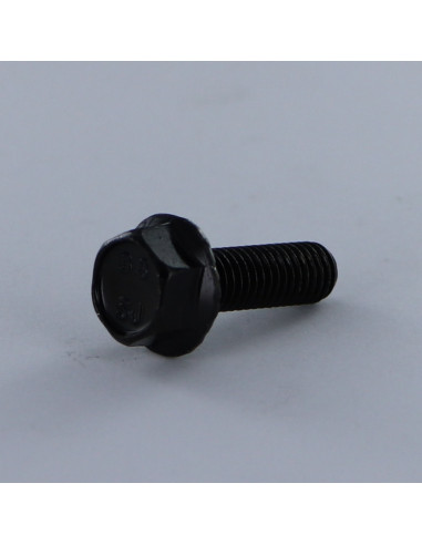1 x Machine Screw Hexagonal Head M8X20 Flange...