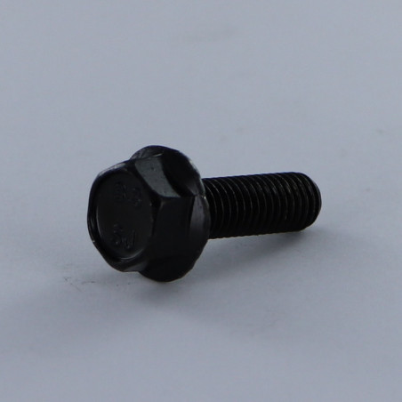 1 x Machine Screw Hexagonal Head M6X25 Flange With Serration Class 8.8 Black Zinc Plated
