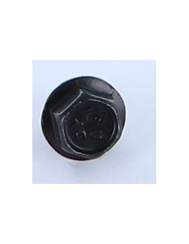 1 x Machine Screw Hexagonal Head M6X10 Flange...