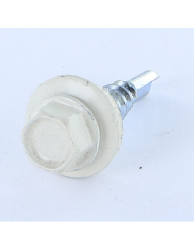 1 x Self Drilling Hexagonal Head 5.5X25...