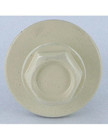 1 x Self Drilling Hexagonal Head 5.5X25...