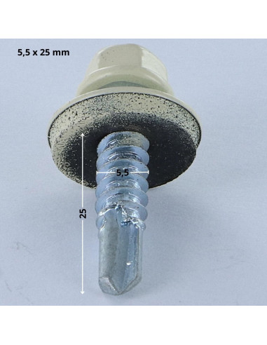 1 x Self Drilling Hexagonal Head 5.5X25...