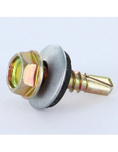 1 x Self Drilling Hexagonal Head 4.8X19...