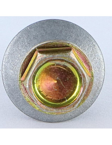 1 x Self Drilling Hexagonal Head 4.8X19...