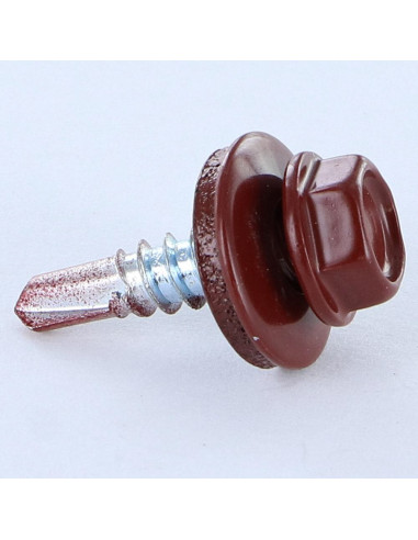 1 x Self Drilling Hexagonal Head 4.8X19...