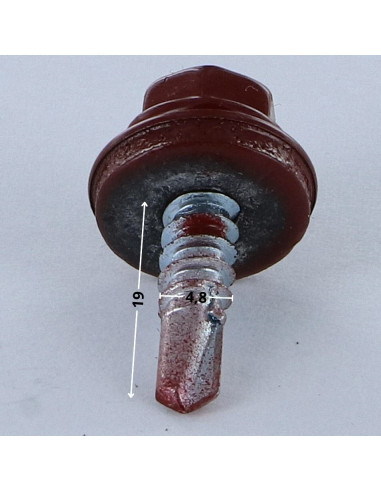 1 x Self Drilling Hexagonal Head 4.8X19...