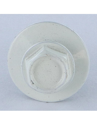 1 x Self Drilling Hexagonal Head 5.5X25...