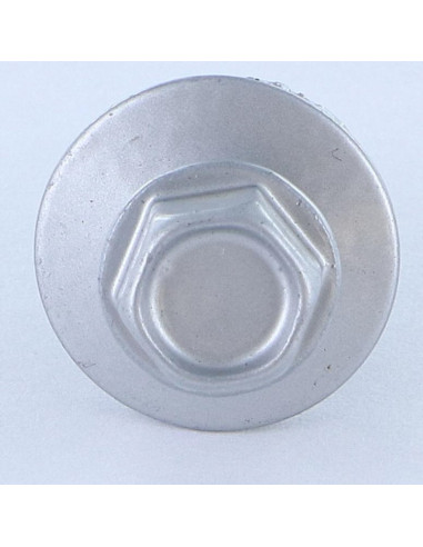 1 x Self Drilling Hexagonal Head 5.5X25...