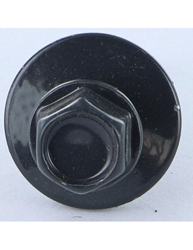 1 x Self Drilling Hexagonal Head 5.5X25...