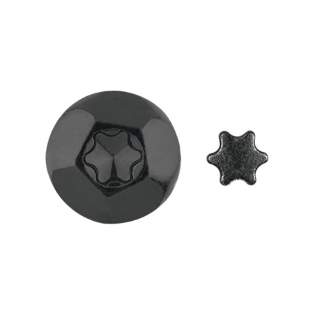 1 x ELEMENT ANTI-INTRUSION T40 Black Zinc Plated