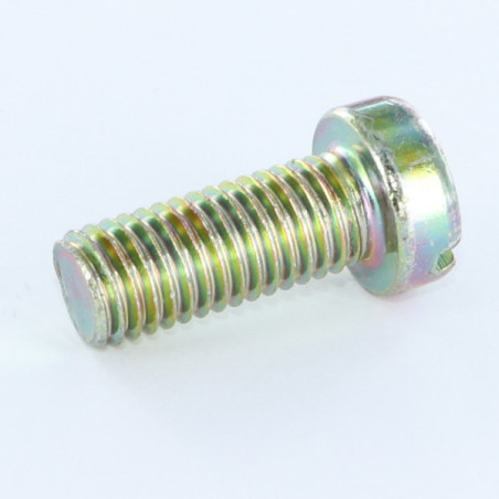 1 x Machine Screw Pan Head Slotted M5X6 Yellow Zinc