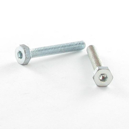 1 x Machine Screw Hexagonal Head + Hexagon Socket 4 M6X35 Zinc Plated