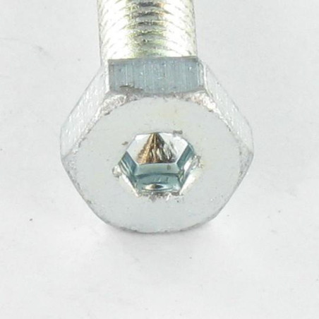 1 x Machine Screw Hexagonal Head + Hexagon Socket 4 M6X35 Zinc Plated