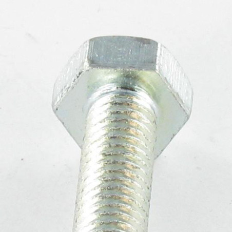 1 x Machine Screw Hexagonal Head + Hexagon Socket 4 M6X35 Zinc Plated