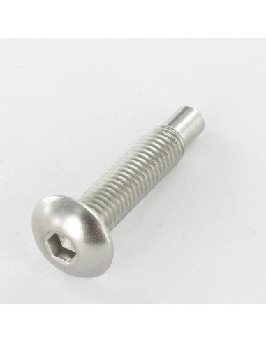 1 x V. POEL Hexagon Recess Stainless Steel A2...