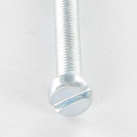 1 x Machine Screw Pan Head Slotted M5X40 Zinc Plated