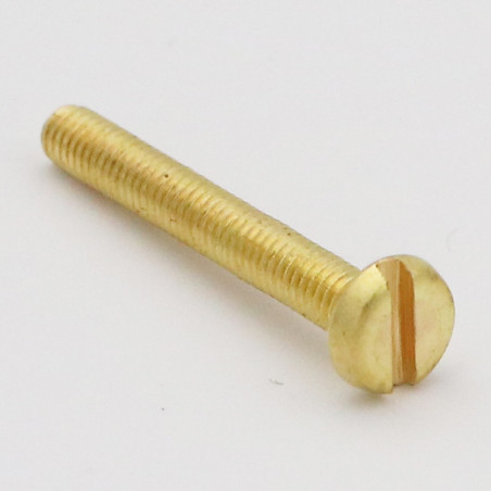 1 x Machine Screw Brass Large Pan Head Slotted M6X20