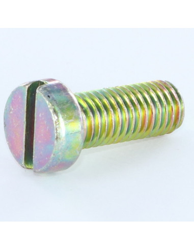 1 x Machine Screw Pan Head Slotted M6X40 Yellow...