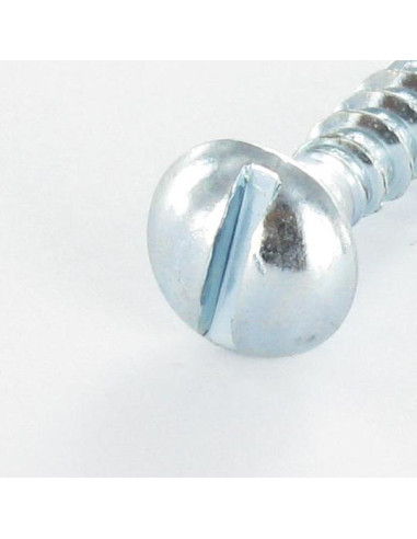 1 x Wood Screw Round Head Slotted 2X20 Zinc...