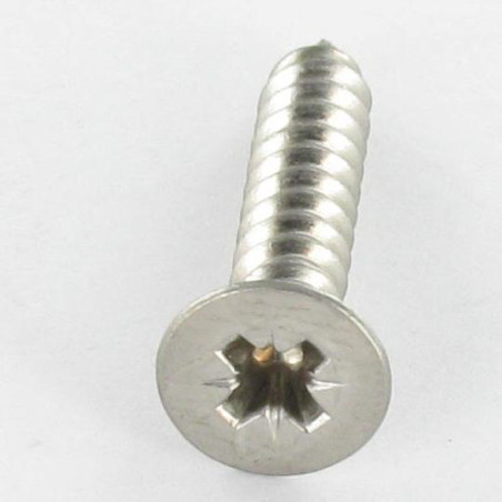 1 x THREAD ROLLING SCREW STAINLESS STEEL A2 COUNTERSUNK HEAD POZI 3.9X22