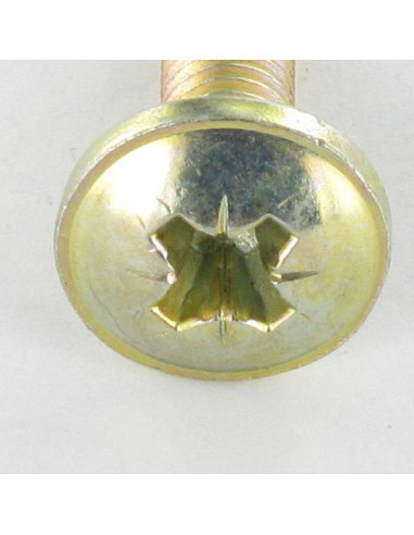 1 x Screw Mushroom Pozi M6X24 Head Diameter:...