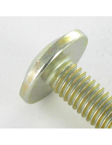 1 x Screw Mushroom Pozi M6X24 Head Diameter:...