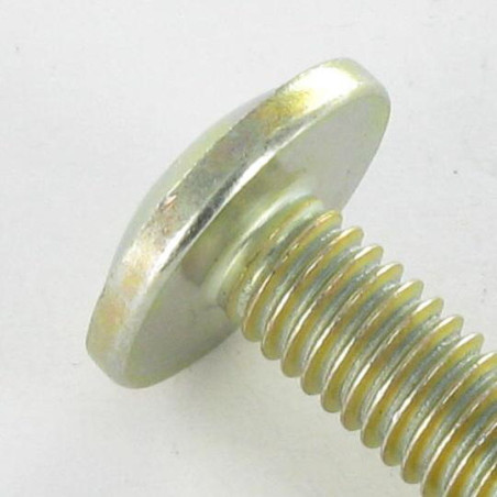 1 x Screw Mushroom Pozi M6X24 Head Diameter: 14.5 Yellow Zinc