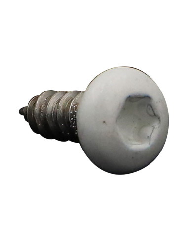 1 x Thread Rolling Screw wide domed head 4.2X13...