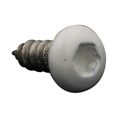 1 x Thread Rolling Screw Large Pan Head 4.2X13 Stainless Steel A2 T20 Ral9010/Pure White