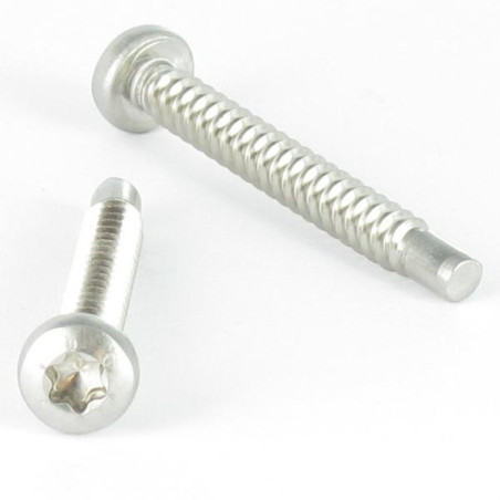 1 x Thread Rolling Screw wide domed head 4.2X35 Stainless Steel A2 T20 Pilot Point