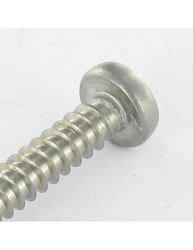 1 x Thread Rolling Screw wide domed head 4.2X35...